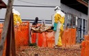 CHDC Congo và nỗi lo dịch Ebola bùng phát