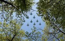 Những khoảnh khắc ấn tượng của không quân Nga trước thềm lễ duyệt binh