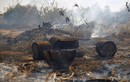 Cháy rừng Amazon thảm khốc, Brazil đối phó thế nào?