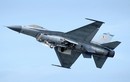 Đài Loan mua F-16 giá trăm triệu USD, tư nhân Mỹ bán… 8,5 triệu