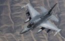 Mỹ giới thiệu F-16 với Việt Nam, truyền thông Nga cuống cuồng khuyên can