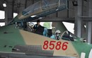 Cập nhật số lượng máy bay của Không quân Việt Nam: Nhiều nhất là Su-27, Su-30