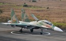 Điểm mặt dàn tiêm kích mạnh nhất Đông Nam Á: Su-30MK2 Việt Nam có đứng đầu?