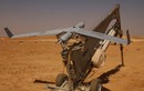 Bao giờ Việt Nam mua được UAV ScanEagle của Mỹ giống như "hàng xóm" Malaysia? 