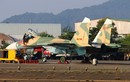 Vì sao Su-27 Việt Nam được nâng cấp ở Belarus mà không phải ở Nga?