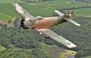 Máy bay cường kích AD-1 Skyraider nhìn từ nhiều góc độ