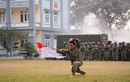Sức mạnh võ thuật tuyệt vời của đặc công Việt Nam