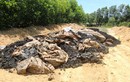 Kết quả ban đầu về chất thải Formosa chôn trong trang trại