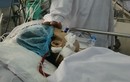 Thai phụ hôn mê, mất con sau 2 ngày sốt