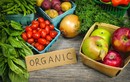 Nông sản hữu cơ: Cải thiện chất lượng thực phẩm trong nước và xuất khẩu