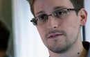 Snowden có thể là ngôi sao truyền hình tại Nga