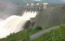 Thủy điện Nậm La bị phạt vì chậm công bố thông tin 