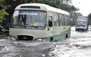 Mưa như trút nước, nhiều tuyến phố Sài Gòn ngập nặng