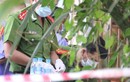 Thảm sát ở Long An: Gia đình đau xót nghi mẹ giết 2 con