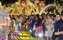 Du khách trắng đêm tham quan đường hoa Nguyễn Huệ trong đêm khai mạc