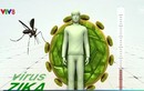 Virus Zika ở Brazil tương đồng với virus Zika ở châu Á