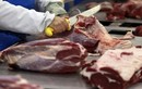 Doanh nghiệp Việt Nam chưa nhập lô thịt bẩn Brazil nào