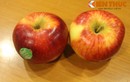 Kinh hoàng táo hữu cơ Organic để 49 ngày không thối