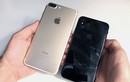 iPhone 8 sẽ khác gì so với iPhone 7, iPhone 7 Plus?