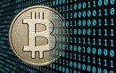 Thu học phí bằng bitcoin, Đại học FPT có thể bị phạt 200 triệu đồng