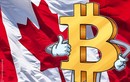 Canada là "thánh địa" mới của thợ mỏ Bitcoin