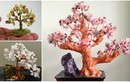 Hoa mắt bonsai bằng đá quý tuyệt đẹp