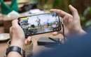 PUBG Mobile trên bờ vực bị cấm cửa ở Ấn Độ