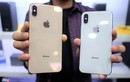 "Choáng" với mức giá của những chiếc iPhone đầu tiên về Việt Nam