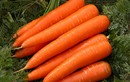 Cà rốt làm giảm 60% nguy cơ ung thư vú