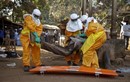 Tiếp tục có bệnh nhân tử vong vì Ebola tại Guinea