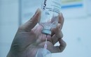 6 lọ thuốc giải độc bolutinum WHO viện trợ về đến TP HCM cứu người