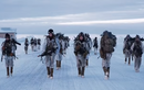 Đột nhập trại huấn luyện binh sĩ “Sói Bắc Cực” của Quân đội Mỹ