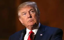 12 bang ở Mỹ kiện Tổng thống Trump vì thuế quan