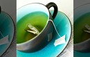 5 điều nên biết khi uống trà giải độc cơ thể