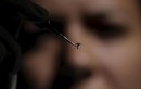 Tây Ban Nha xác nhận 58 trường hợp nhiễm Zika