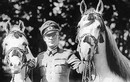 Chiến dịch giải cứu đàn ngựa quý của trùm phát xít Hitler 