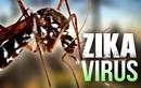 Phát hiện 2 trường hợp đầu nhỏ đầu tiên do Zika ở Thái Lan