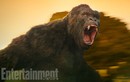 King Kong mới trong phim bom tấn quay ở Việt Nam lộ diện