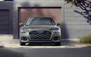 Audi xác nhận chuẩn bị ra mắt 3 mẫu xe A6, A6 e-tron và Q6 e-tron mới tại Việt Nam