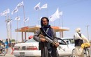 Afghanistan: Súng ống và bạo lực tràn lan khi Taliban nắm quyền