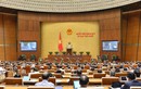 Hôm nay (4/11), Quốc hội tiếp tục thảo luận tại hội trường về kinh tế - xã hội