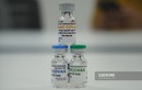 Việt Nam chính thức thử nghiệm vaccine COVID-19 trên người