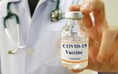 Vắc xin COVID-19: AstraZeneca, Pfizer, Sputnik V... loại nào tốt hơn?