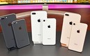 Cận Tết, muốn mua iPhone cũ, phải kiểm tra ngay điều này 