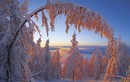 Vẻ đẹp mùa đông ở Siberia chìm trong cái lạnh tê tái -45 độ C