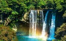 Điều bạn chưa biết về thác nước tuyệt đẹp trên đảo Jeju Hàn Quốc