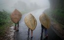 Cuộc sống trong ngôi làng mệnh danh là “nơi ẩm ướt nhất thế giới“