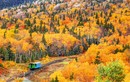 Đẹp nao lòng mùa thu lá vàng ở các nước trên thế giới