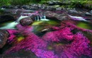Chiêm ngưỡng những dòng sông màu sắc kỳ lạ trên thế giới