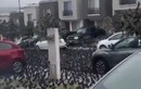 Cảnh chim đậu kín đen trên đường phố Mexico cảnh báo “khủng hoảng”